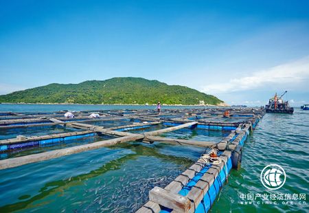 沿海地區(qū)加快布局 海洋經(jīng)濟(jì)數(shù)萬億級市場空間有望開啟