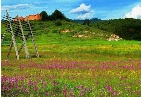 云南著力建設(shè)健康生活目的地 重塑旅游支柱產(chǎn)業(yè)新優(yōu)勢(shì)