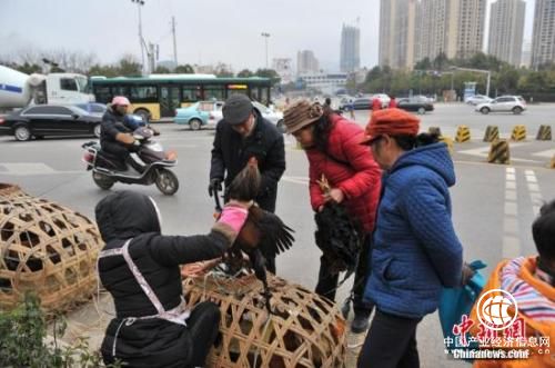 資料圖：街頭攤販。任東 攝