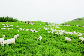 產(chǎn)業(yè)扶貧“造血” 泛珠扶貧協(xié)作補(bǔ)齊區(qū)域發(fā)展短板