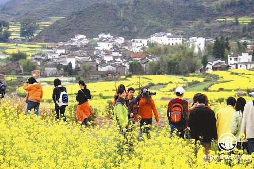 在那希望的田野：“鄉(xiāng)村游”帶“熱”假日文旅市場(chǎng)