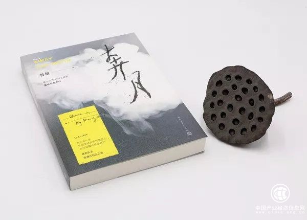 我失迷霧君失我——魯敏小說：奔月 | 星期天文學(xué)