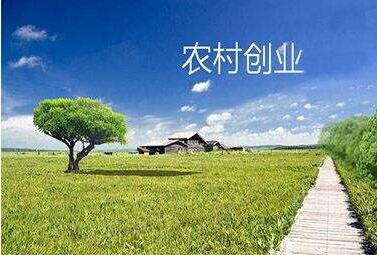 我國農(nóng)村創(chuàng)業(yè)創(chuàng)新人員已達700萬人