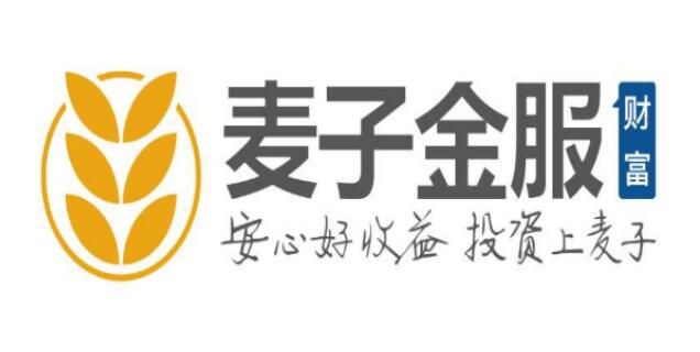 麥子金服：公司未開展“現(xiàn)金貸”業(yè)務(wù) 嚴守風(fēng)控審核關(guān)卡