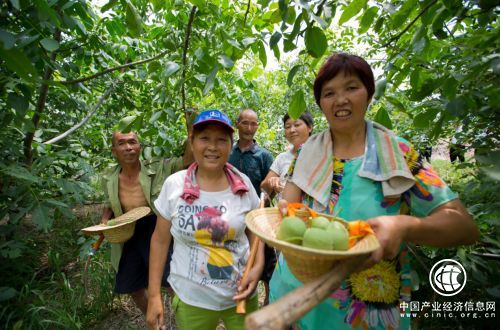 拼多多助農(nóng)年報：精準(zhǔn)扶貧不唱獨(dú)角戲