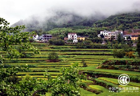 國際人士積極評價中國加快推進生態(tài)文明建設(shè)