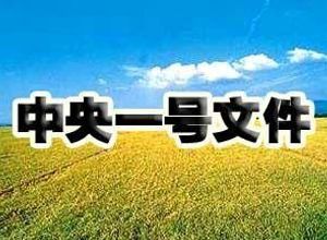 今年“一號文件”含金量高 “三重”涉及多個產(chǎn)業(yè)機會