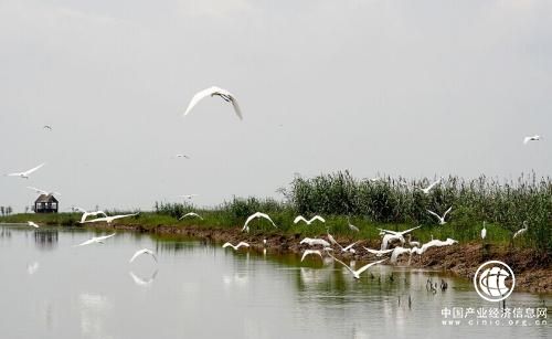 山西發(fā)布生物多樣性保護(hù)戰(zhàn)略與行動計劃