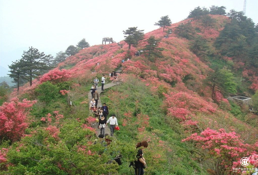 5月，各路越野高手云集崀山，圍觀或參戰(zhàn)？