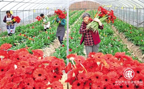 今年，新一輪農(nóng)地制度改革提速擴面