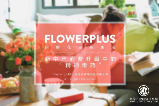 Flowerplus花加領(lǐng)跑口碑營(yíng)銷(xiāo)標(biāo)桿企業(yè) 單月銷(xiāo)售最高過(guò)億 