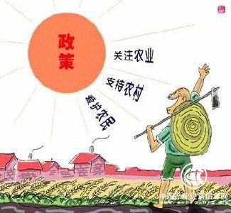 農(nóng)村產(chǎn)權(quán)制度