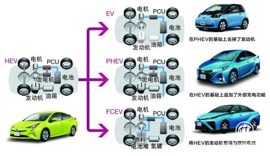 新龜兔賽跑，揭秘豐田在華“電動(dòng)化”布局