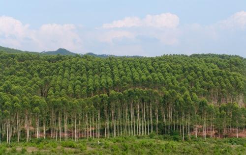 鄉(xiāng)村振興戰(zhàn)略為建立新型城鄉(xiāng)關系和農(nóng)業(yè)農(nóng)村健康發(fā)展指明了道路 