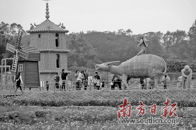 產業(yè)驅動：“問題村”蝶變背后的動力源