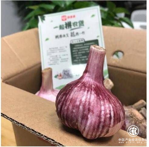 為何全國滯銷的大蒜，能在拼多多上一天賣出4.7萬單？