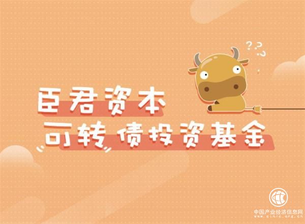 臣君資本：可轉(zhuǎn)債新藍(lán)海 紅利從何而來(lái)？