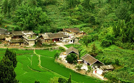 海南力爭建設(shè)一批宜居宜業(yè)宜游美麗村莊