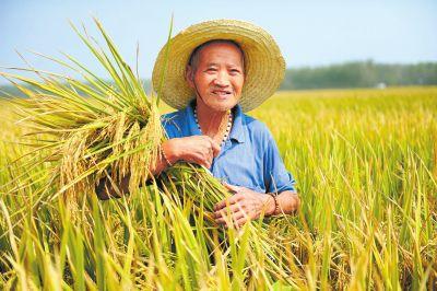 直擊“三夏”生產(chǎn)：豐收喜報(bào)頻傳 夏播緊鑼密鼓