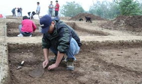 河南省建立15處典型古生物化石群落 發(fā)現(xiàn)8000余處化石點(diǎn)