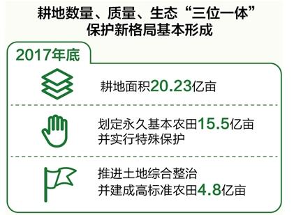 數(shù)量、質量、生態(tài)協(xié)同 耕地保護新格局基本形成