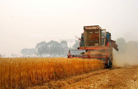 河南設(shè)置692個專用通道 保障小麥跨區(qū)機收運輸車輛通行