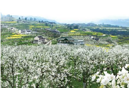 四川實(shí)施“五大行動(dòng)”提升鄉(xiāng)村旅游發(fā)展質(zhì)量助力鄉(xiāng)村振興