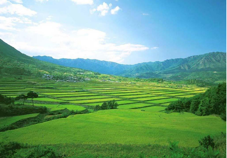 山水林田湖草海：我們的國有自然資源“大家底”值得關(guān)注