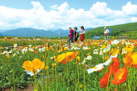 甘肅打出“生態(tài)”“扶貧”攻堅組合拳