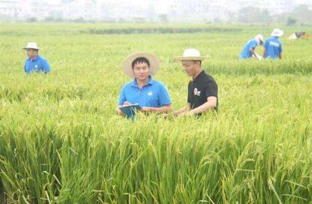 中化集團(tuán)：在一帶一路上播撒合作共贏良種