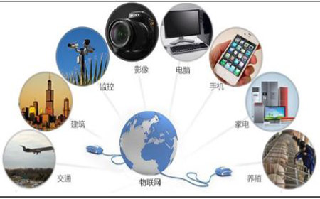 黑龍江省輕建物聯(lián)網(wǎng)應用服務平臺啟動