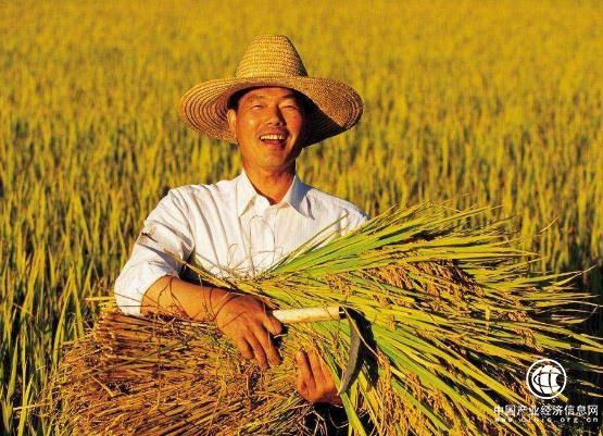 農(nóng)業(yè)農(nóng)村部副部長：品牌化方能推動新時期馬鈴薯產(chǎn)業(yè)發(fā)展