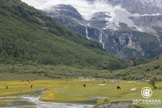 只買門票“沒法玩” 景區(qū)內交通花費成游客另一大負擔