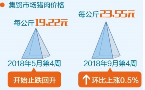 豬肉價格呈波動下行態(tài)勢 地區(qū)間差異顯著