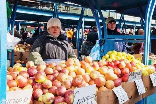 又迎糧食高產年 俄羅斯力推農產品出口