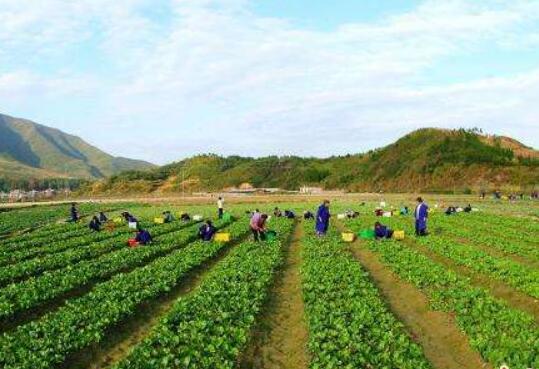 湖南東安縣多措并舉促脫貧攻堅