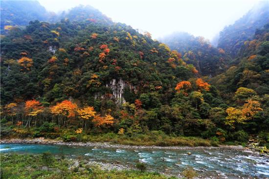 四川生態(tài)旅游直接收入超過(guò)千億元