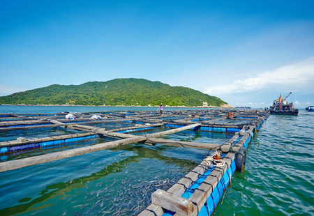 河南省首次出臺(tái)對(duì)接海洋經(jīng)濟(jì)工作方案 三個(gè)關(guān)鍵詞看河南加快“通江達(dá)海”