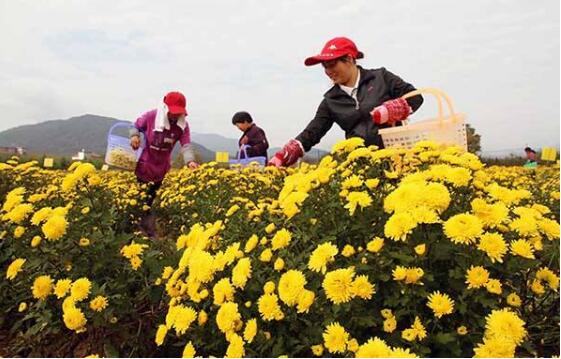 江西5年近300萬(wàn)人脫貧