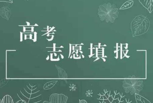 高考志愿填報(bào)有哪些注意事項(xiàng)？高校招辦主任來支招