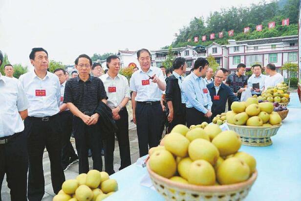 全國(guó)產(chǎn)業(yè)扶貧工作推進(jìn)會(huì)現(xiàn)場(chǎng)考察走進(jìn)蒼溪 參會(huì)代表點(diǎn)贊減貧奇跡