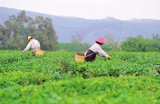 河南副省長武國定：確保年底高質(zhì)量脫貧摘帽