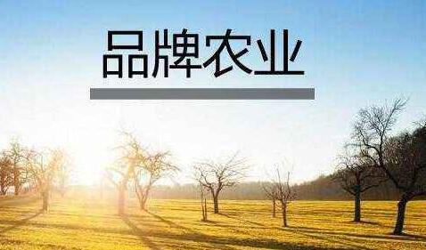 品牌農(nóng)業(yè)鋪就鄉(xiāng)村振興路——“叫響遼寧品牌”