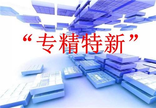 金融服務(wù)護航“專精特新”企業(yè)高質(zhì)量騰飛