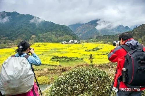 地方戰(zhàn)“疫” | 不少文旅企業(yè)或?qū)⑵飘a(chǎn)，安徽如何應對？