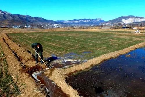 全國98處大型灌區(qū)開始春灌 累計灌溉農田1770余萬畝