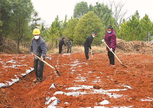 河南：項(xiàng)目建設(shè)加速 民生幸福加碼