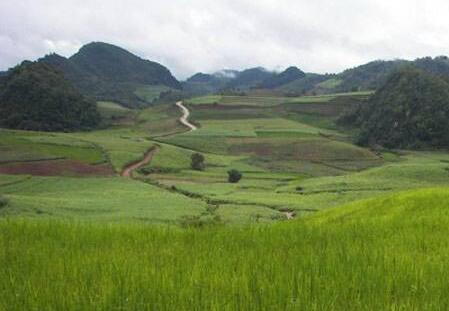 切實真正管住管好耕地  遏制“非農(nóng)化”防止“非糧化”