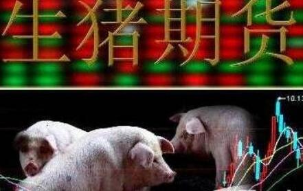 豬價、雞價接續(xù)上漲 養(yǎng)殖業(yè)上升周期到來？