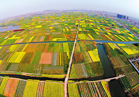 以農(nóng)造景　以景促旅 看“北京農(nóng)田觀光季”如何促進(jìn)景觀農(nóng)業(yè)發(fā)展